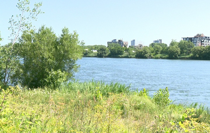 The proposed site for a new beach in the Montreal neighbourhood of Verdun is behind the Verdun Auditorium.