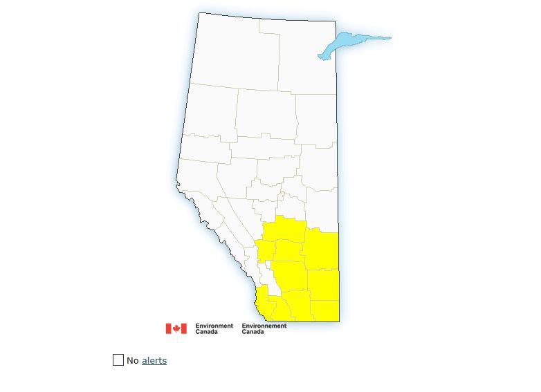 Severe thunderstorm watch in effect for southern Alberta - image