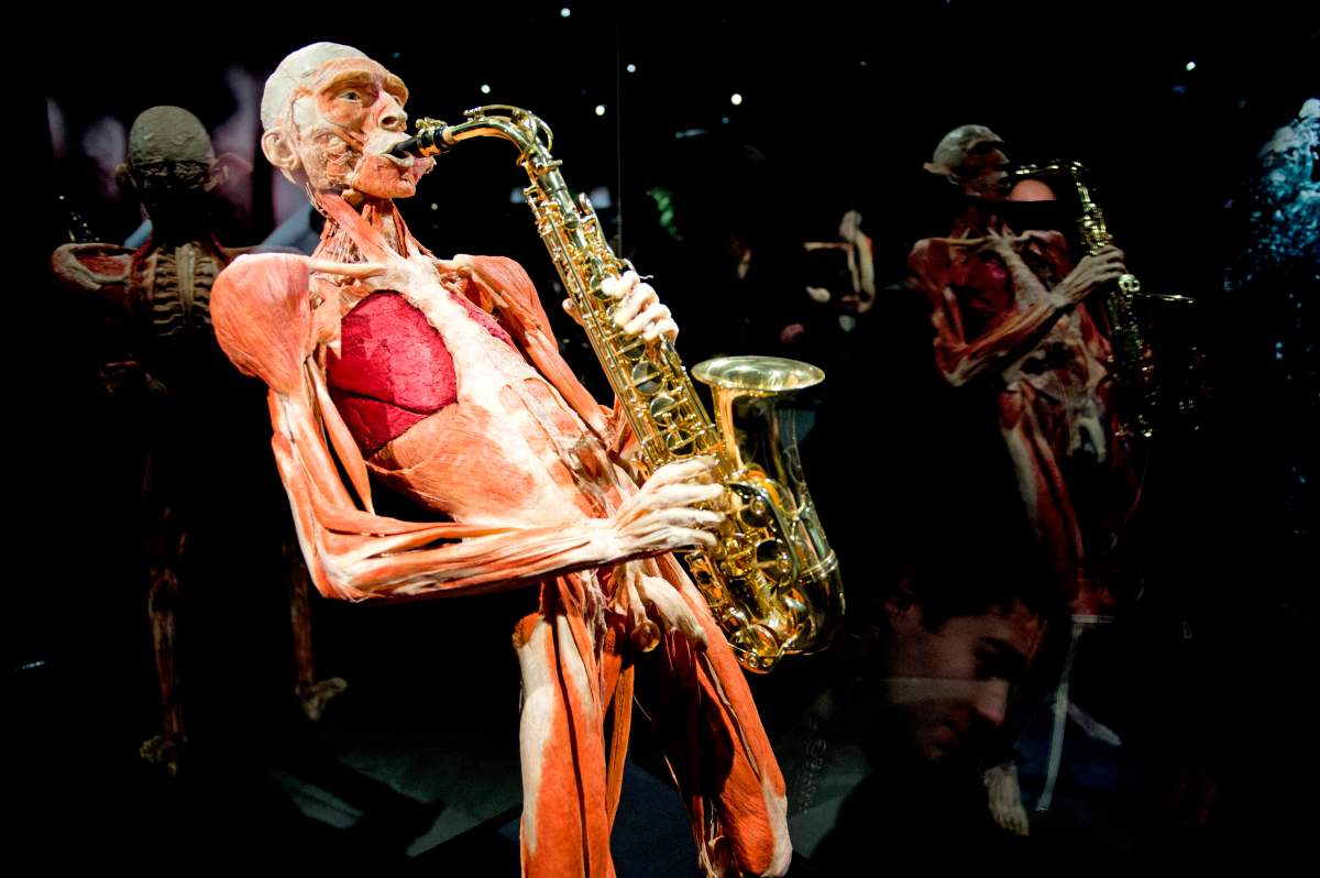 The controversial Body Worlds exhibition in Amsterdam, Netherlands on January 15, 2014.