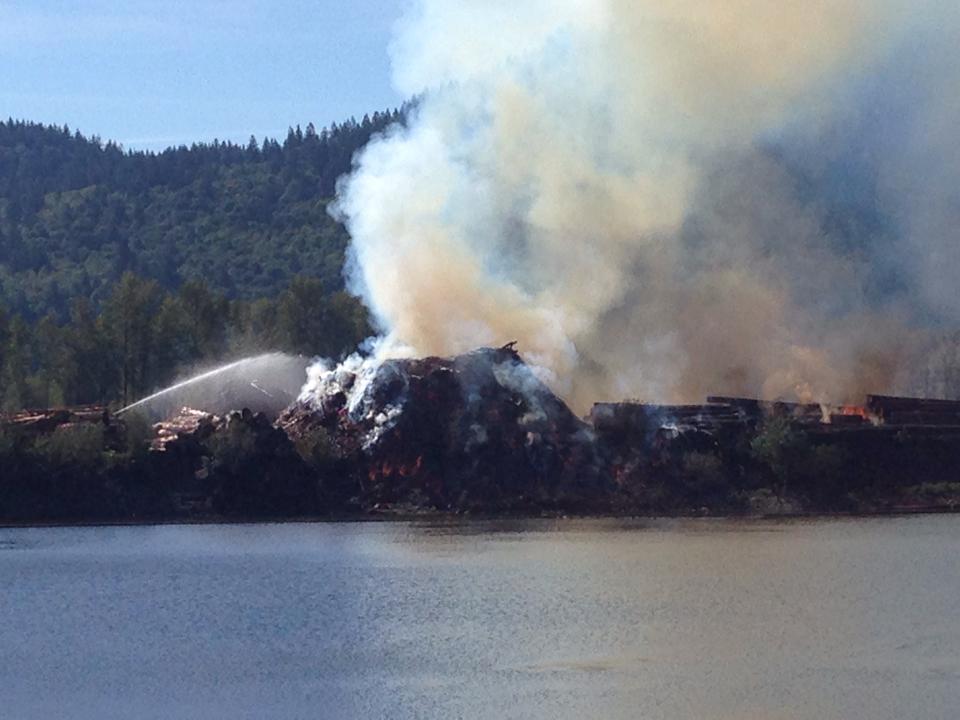 Brush fire in Harrison Mills at a log sorting facility.