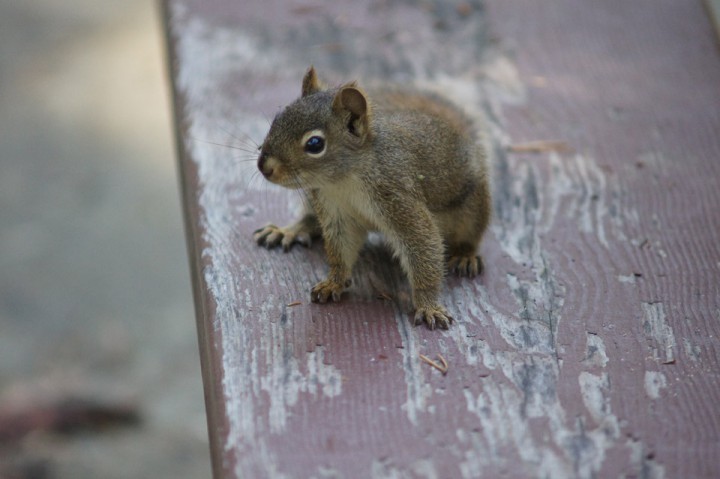 Sept. 2: This Your Saskatchewan photo was taken by Mike Poth at Nemieben Lake.