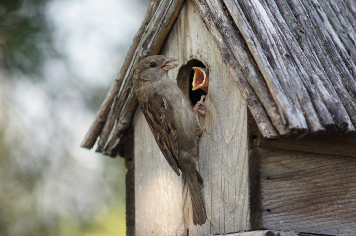 Sept. 15: This Your Saskatchewan photo was taken by Mike Poth in Saskatoon.