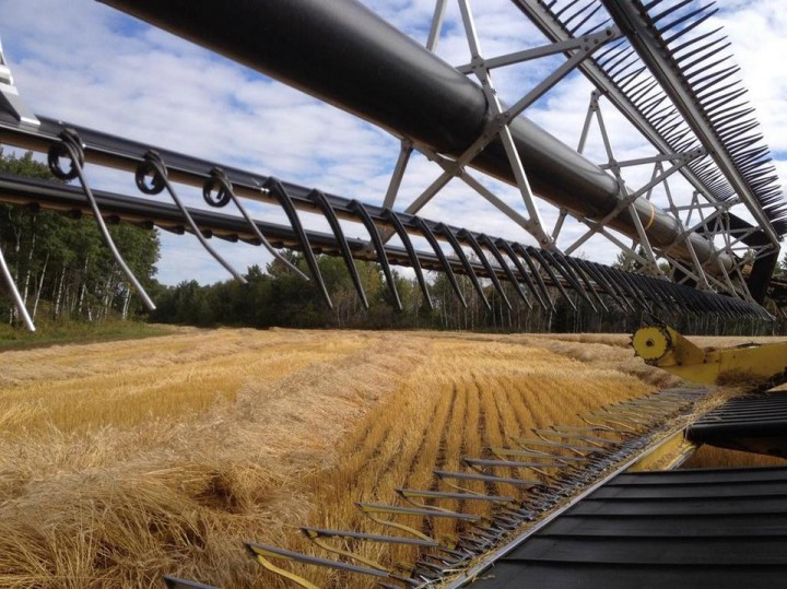 Sept. 16: This Your Saskatchewan photo was taken by Alvin Slusar east of Carrot River.