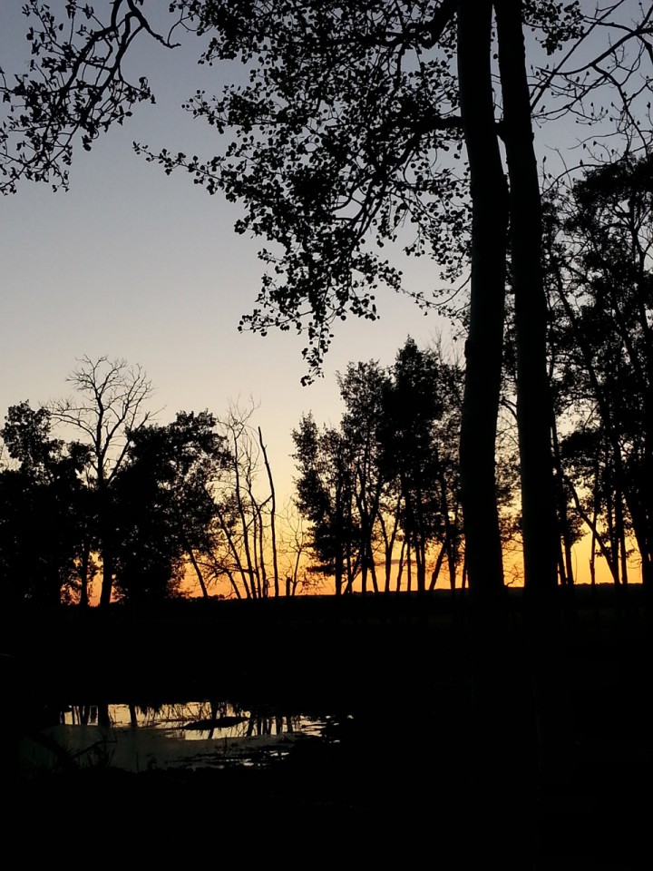 Sept. 18: This Your Saskatchewan photo was taken by Lynda Peterson near Edam.