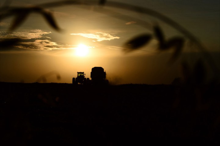 Sept. 29: This Your Saskatchewan photo was taken by Stephanie Lynch at Jansen.