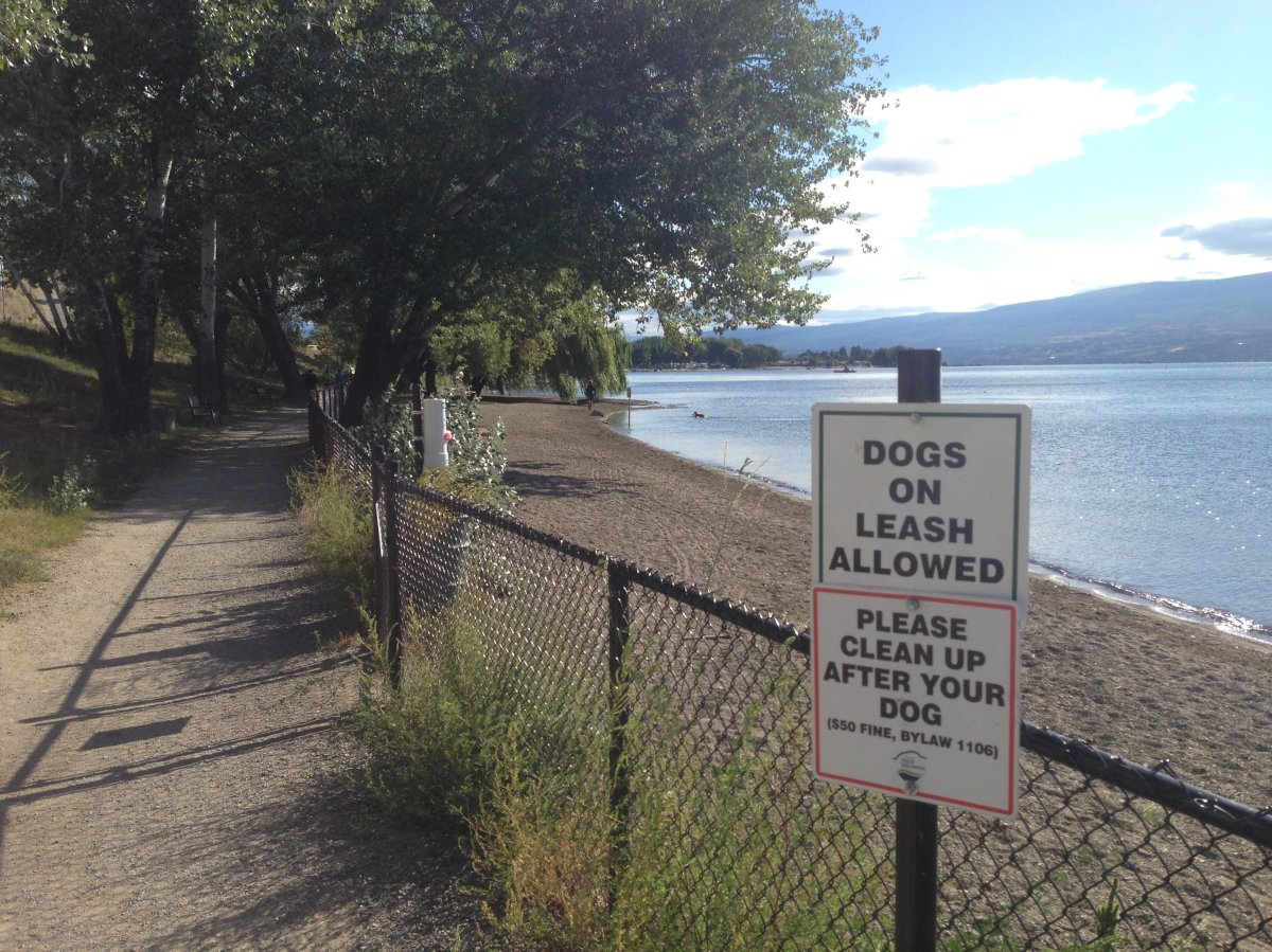RCMP were called to the Gellatly Bay dog park Wednesday morning for a body found on the beach. 
