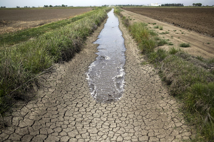 This May, 2014, photo shows irrigation water runs along a dried-up ditch between rice farms in Richvale, California. The state is facing a crippling drought.