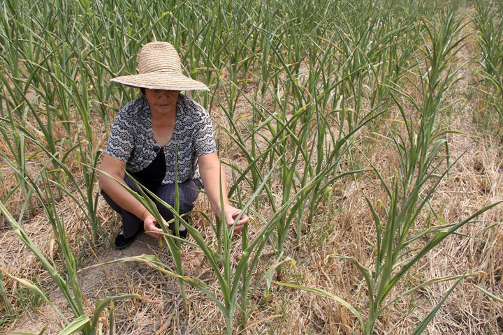 China's drought