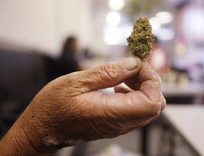 A woman holds up a bud of marijuana.