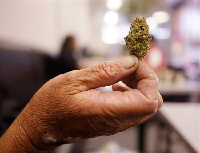 A woman holds up a bud of marijuana she purchased at the San Francisco Medical Cannabis Clinic in San Francisco, Friday, Oct. 15, 2010. The College of Family Physicians is issuing guidelines to Canada's 30,000 primary-care doctors about which patients should and should not get prescriptions for medical marijuana. THE CANADIAN PRESS/AP/Eric Risberg.