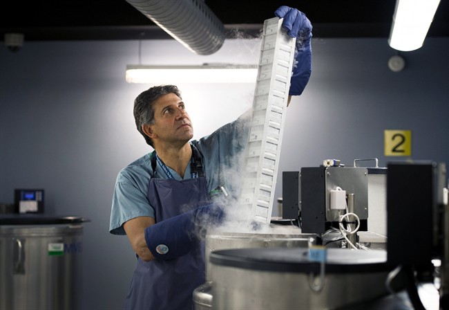 Dr. Jay Wunder, surgeon and chief at Mount Sinai Hospital in Toronto, pulls a tower of sarcoma specimens used for cancer genetics research from a freezer of liquid nitrogen.