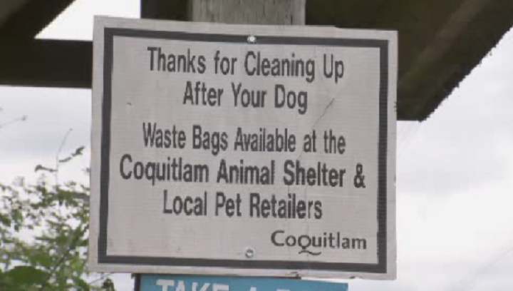 Dog poop overloading Coquitlam, B.C. park garbage cans