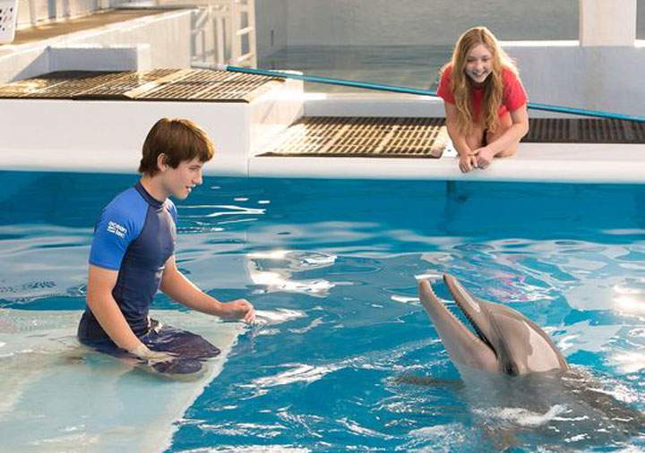 Dolphin Tale 2