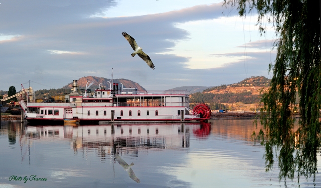 An uncertain future remains for the Fintry Queen on Okanagan Lake. 