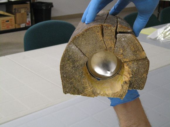 Grand Tracadie-Sheila RCMP are investigating the discovery of a potentially explosive device found in the driveway of a residence in Bois Blanc, N.B.