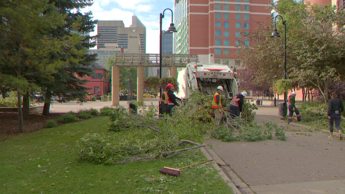 City of Calgary cleaning up damaged trees downtown.