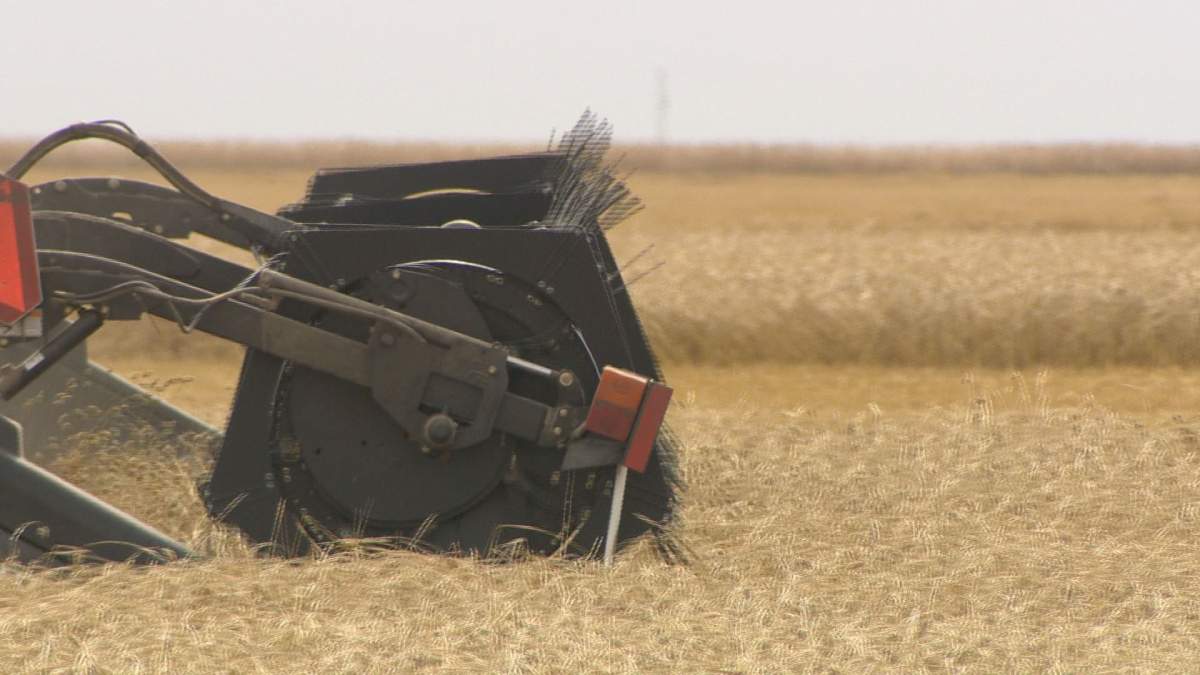 CN Rail facing federal fine for delivering low grain shipments - image