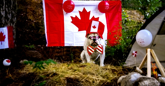 Where to celebrate Canada Day 2018 in Calgary - image