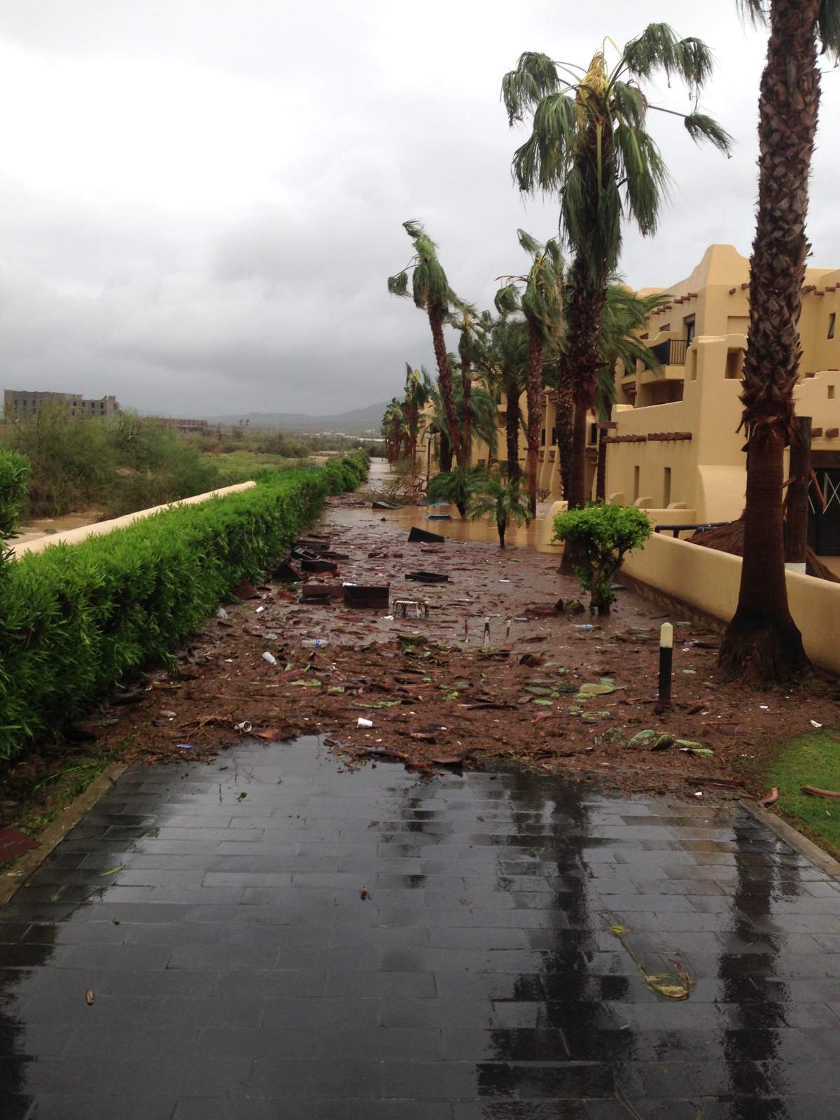 Last rescue flight returns to Calgary from storm-ravaged Cabo San Lucas - image