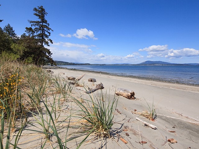 Meet the billionaire who’s selling this B.C. island for $75M ...