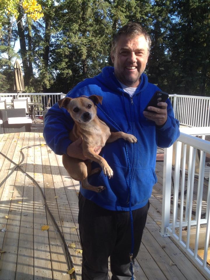 Jerry the missing Chihuahua-cross was found sitting on a farmers deck north of Calgary.