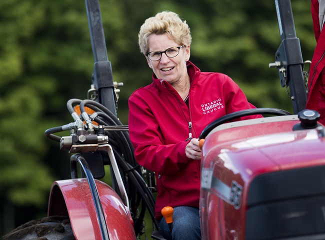 Ontario Premier Kathleen Wynne takes part in the 101st Annual International Plowing Match in Thornton, Ont., on Tuesday, September, 16 2014. THE CANADIAN PRESS/Nathan Denette.