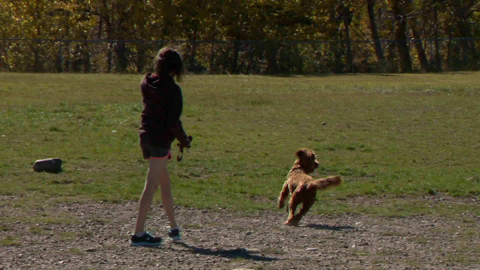 are children allowed in dog parks