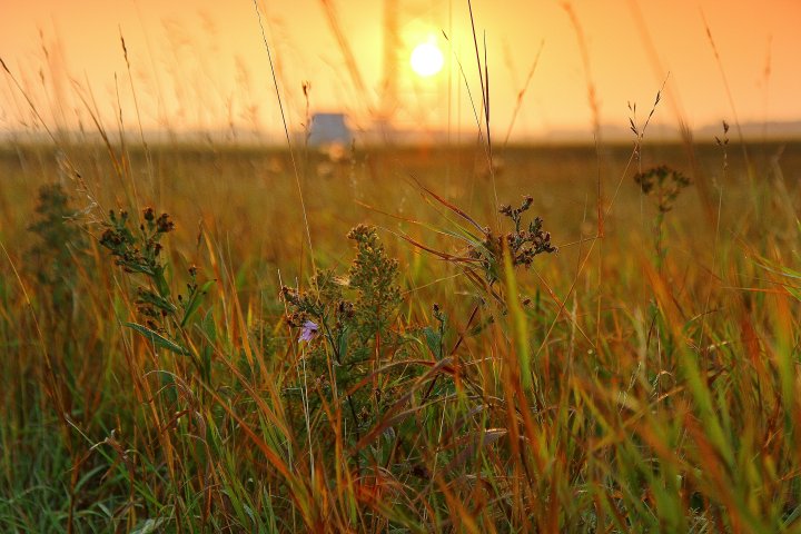 Your Manitoba: September - Winnipeg | Globalnews.ca