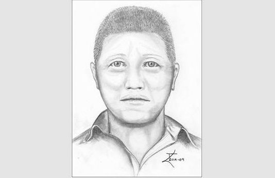 Police release sketch of suspect wanted in random sexual assault - image