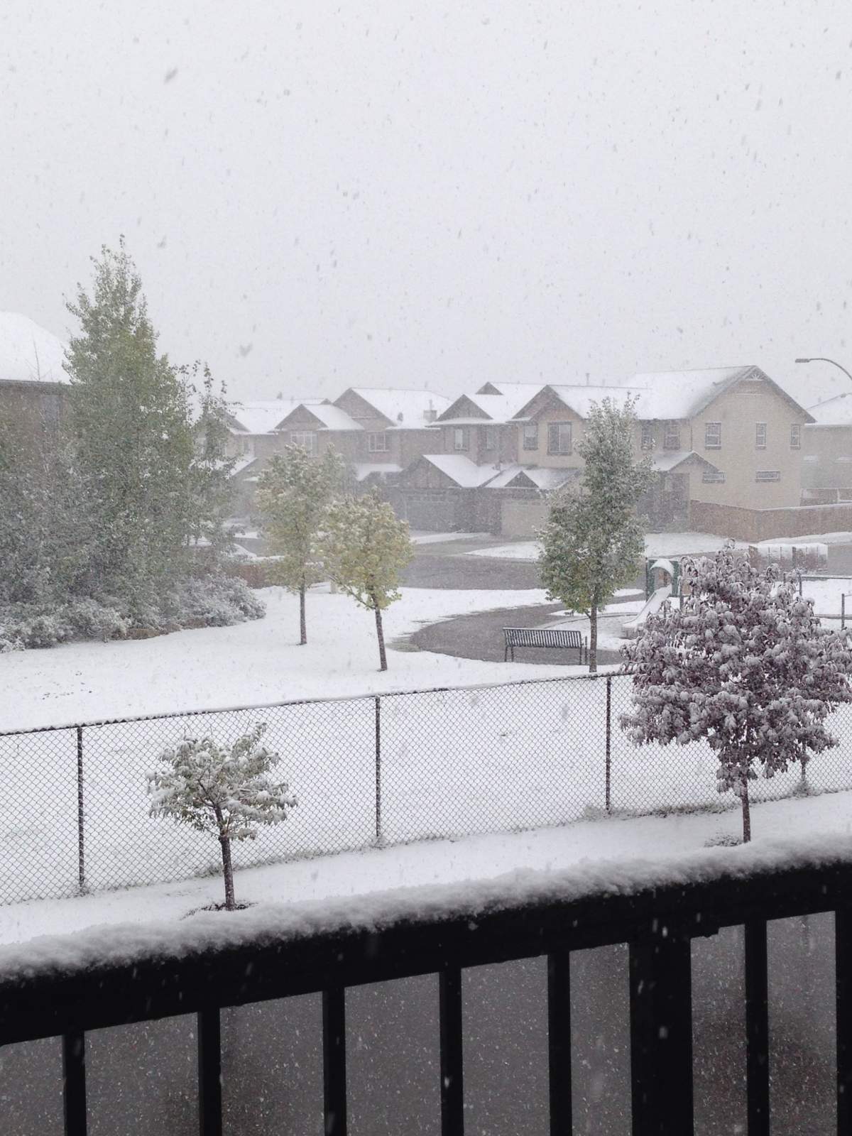 Snow in Calgary on Monday, Sept. 8th, 2014.