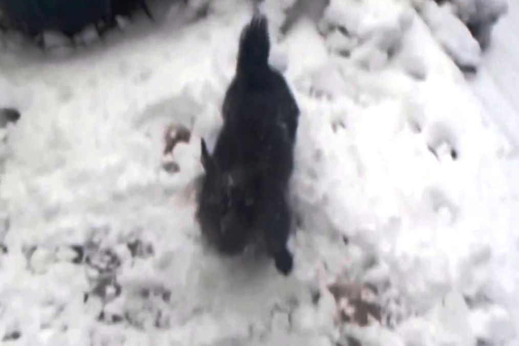 Why the rest of Canada is glad they don’t live in Alberta right now - image