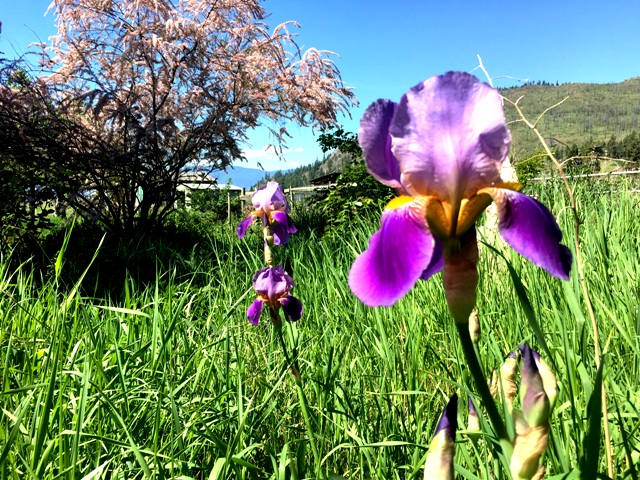 Following a cool and wet April, May will bring long-awaited Spring weather.