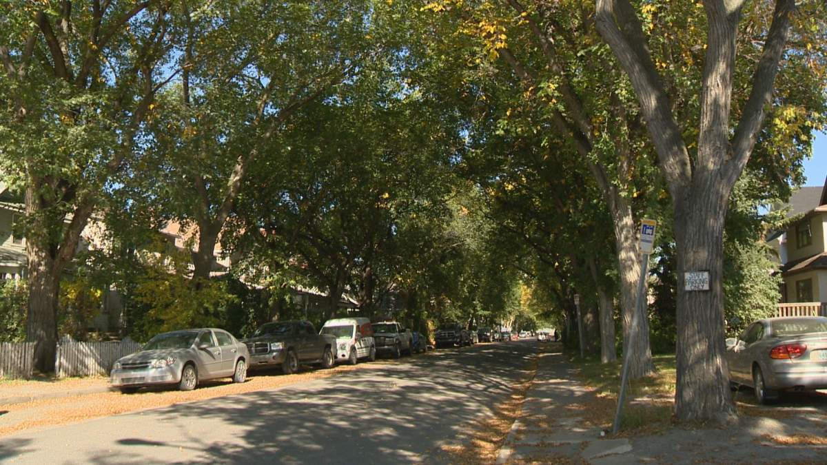 Stabbing of Regina social worker highlights risks of the job - image
