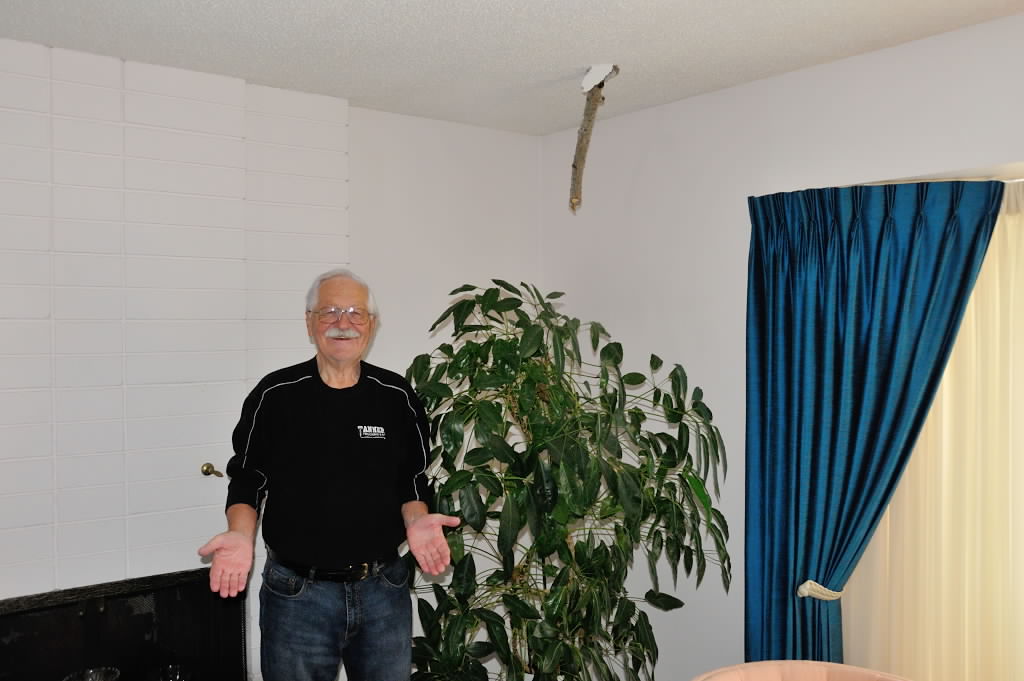A tree went through Stan Kwasniowski's home in Willow Park.