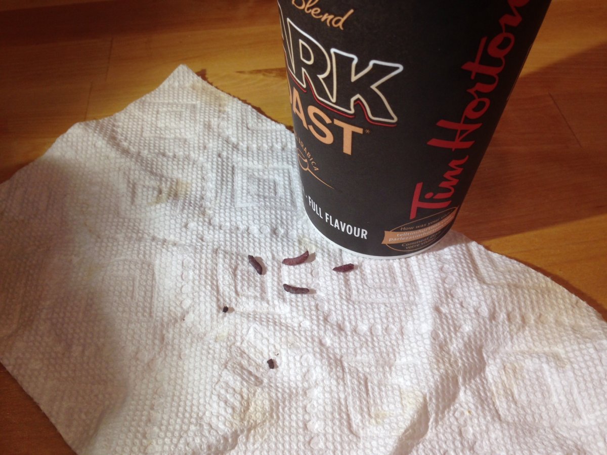 A Tim Hortons customer says these maggots were allegedly in his coffee Thursday .