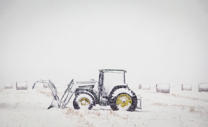 Why the rest of Canada is glad they don’t live in Alberta right now - image