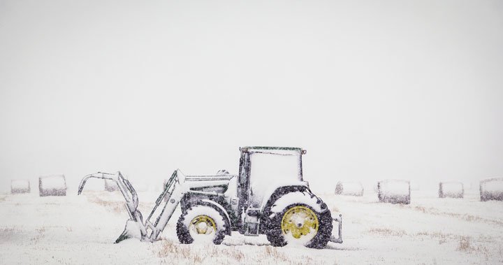 „Бяло злато“: Environment Canada казва, че снегът е добре дошъл за Sask. фермери