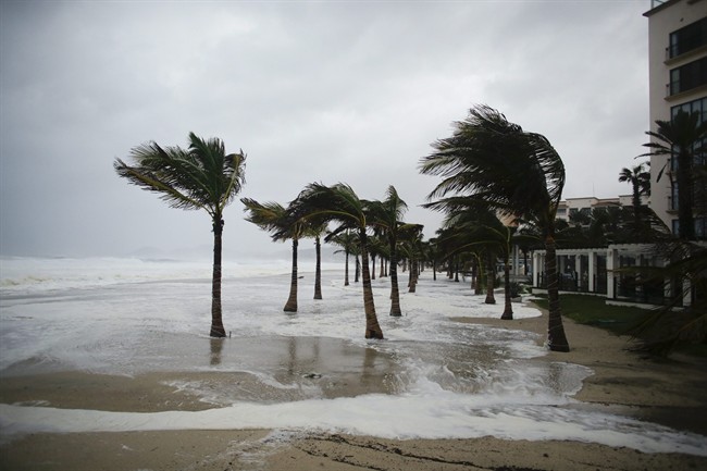 Winds blow palm trees on the beach in Los Cabos, Mexico, Sunday, Sept. 14, 2014.