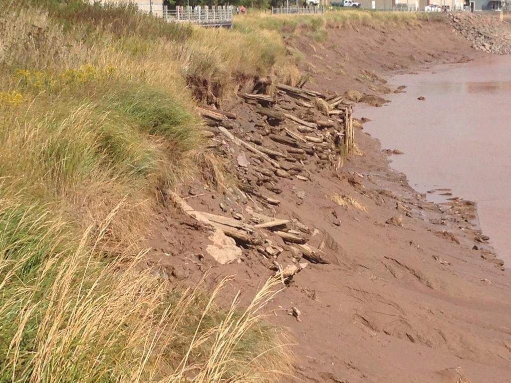 These timbers were once wharves that played a central part of the city’s shipbuilding past.