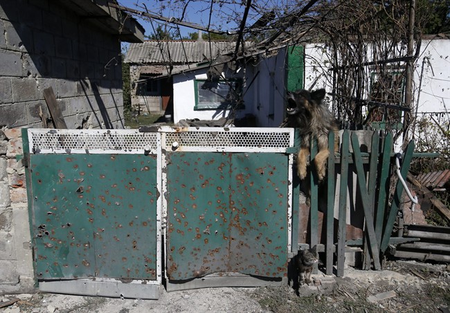 An abandoned dog and cat seen in front of a damaged house, after shelling in the town of Donetsk, eastern Ukraine, Thursday, Sept. 18, 2014. Ukraine and the Russian-backed separatists inked a cease-fire agreement Sept. 5, though the deal has been violated repeatedly. 