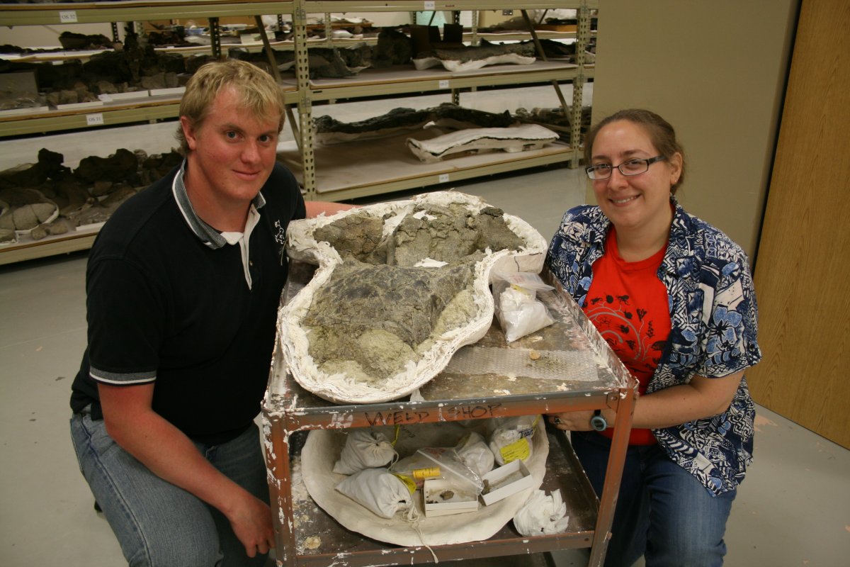 University of Alberta researchers pose with a skull of Ziapelta sanjuanensis.