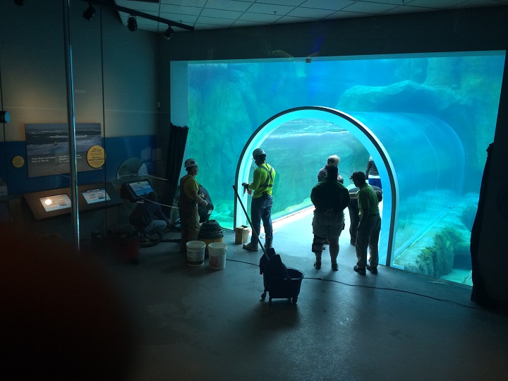 Repair crews at work at underwater viewing gallery damaged by polar bears at Winnipeg's Assiniboine Park Zoo.