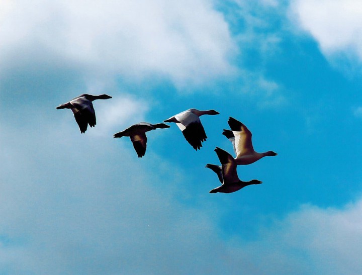 Oct. 2: This Your Saskatchewan photo was taken by Anita Doyle near Wakaw.