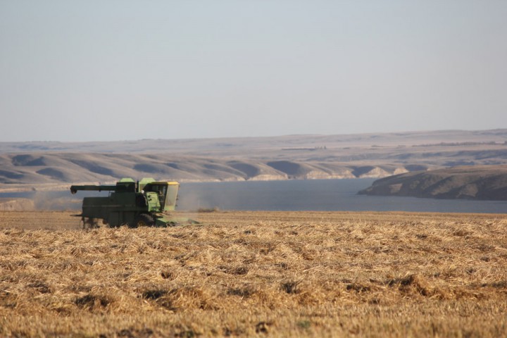 Oct. 8: This Your Saskatchewan photo Your SK was taken by Joni Day of barley harvesting along the South Saskatchewan River west of Kyle.