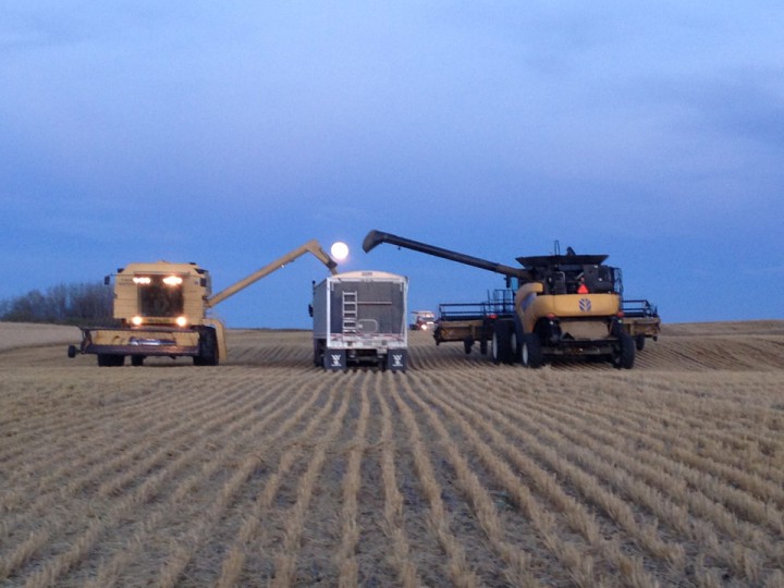 Oc. 18: This Your Saskatchewan photo was taken by Misha Cherniak near Cando.