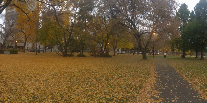 Oct. 20: This Your Saskatchewan photo was taken by Ryan Trotchie in Saskatoon.