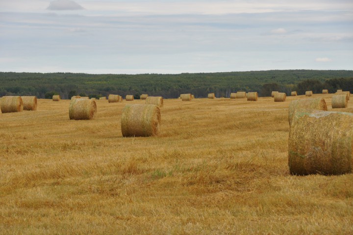 Oct. 21: This Your Saskatchewan photo was taken by Andrew Halczuk at Delaronde Lake.
