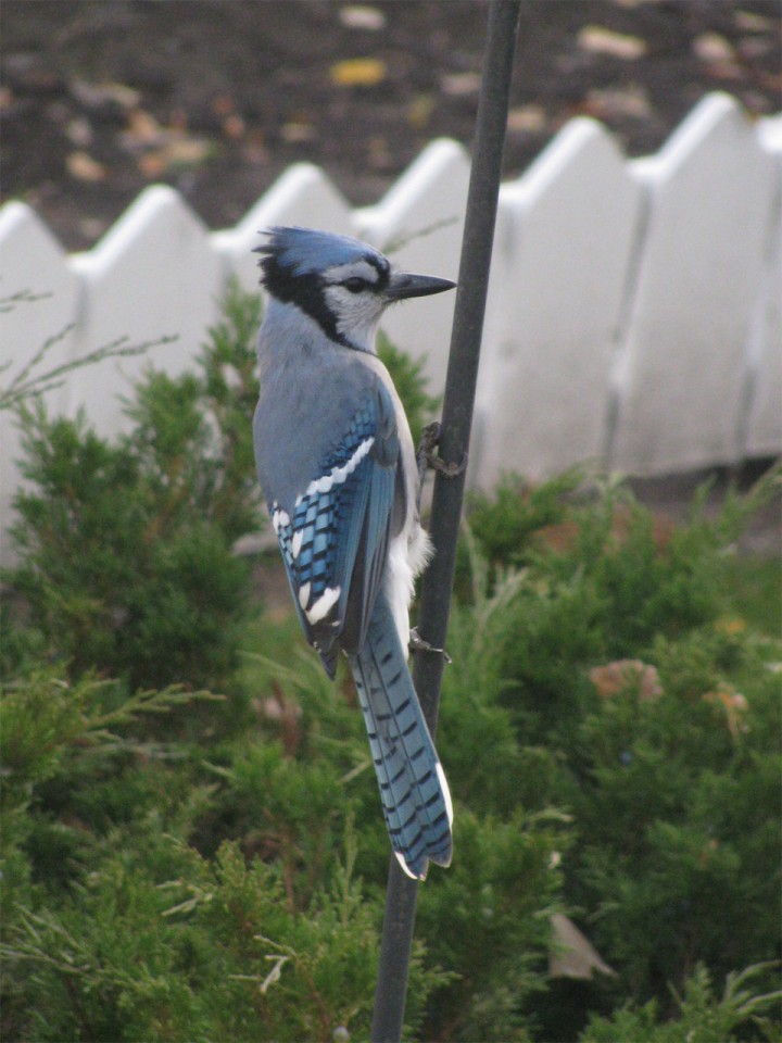Oct. 23: This Your Saskatchewan photo was taken by Jennifer Sealey in North Battleford.