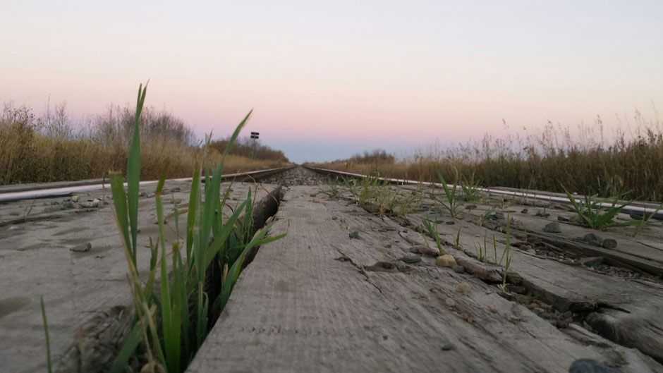 Oct. 16: This Your Saskatchewan photo was taken by Dean Waldner in Langham.