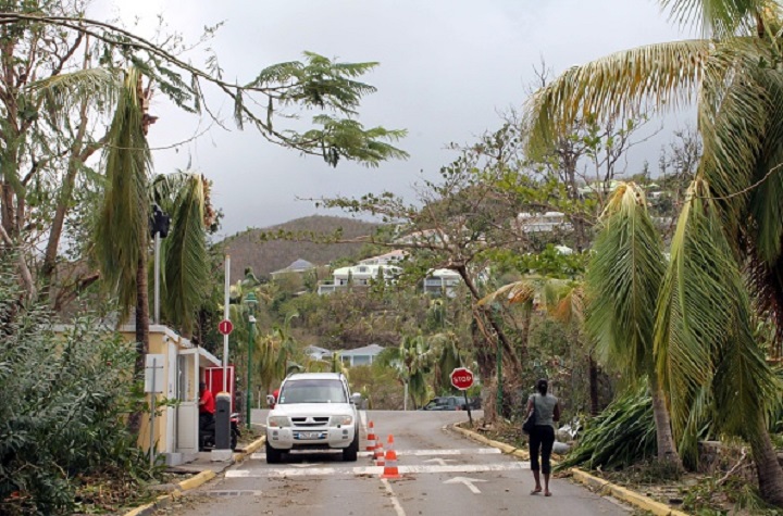 A woman walks past damaged trees in Orient Bay on the French Caribbean island of Saint Martin on October 14, 2014. Three people were missing at sea after the hurricane Gonzalo swept through the French Caribbean islands of  Saint Barthelemy and Saint-Martin, also causing property damage, the islands' delegate prefecture said.